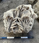 Corinthian capital.